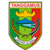Logo Gunung Tiga